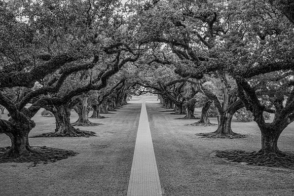 Oak Alley Plantation