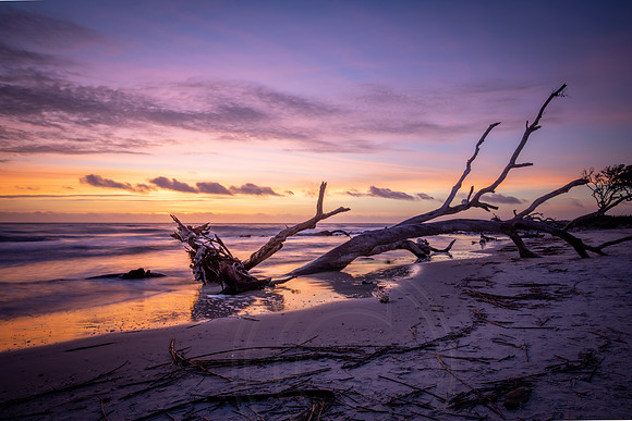 Shades of Sunrise