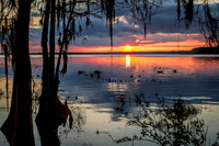 Simply Sunset