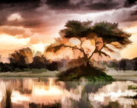Sunset at African Pond
