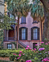 Pink Palm House