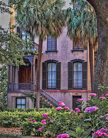Pink Palm House