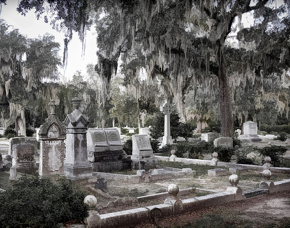 Bonaventure Cemetery