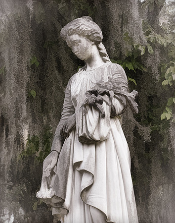 Boneventure Flower Girl
