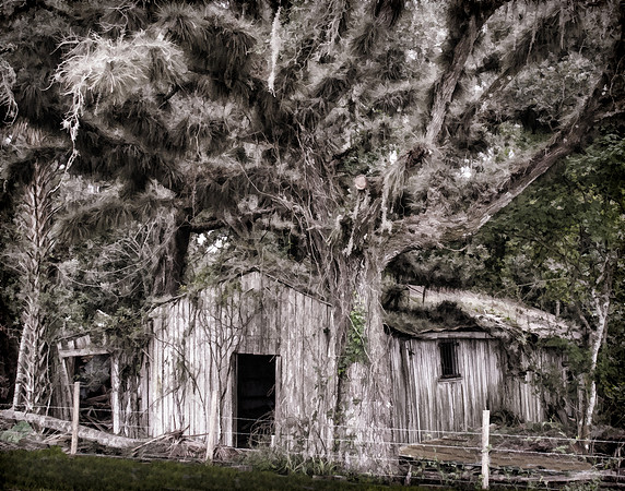 Old Country Store