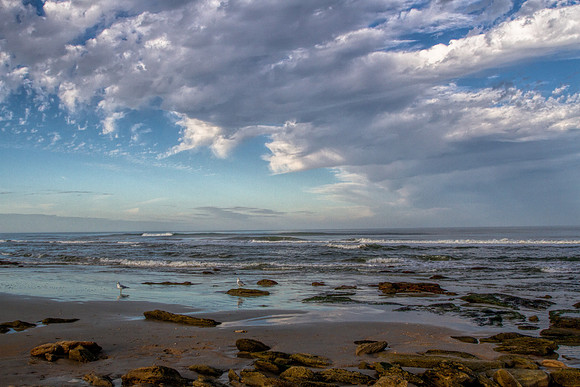Rocky Shore