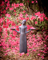 Innocence in Bloom