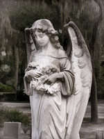 Bonaventure Angel