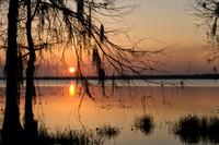 Evening Glow