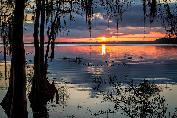 Simply Sunset