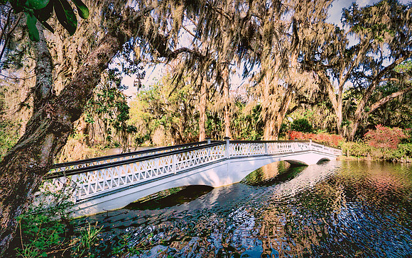 Magnolia Bridge