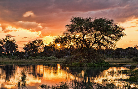 Sunset at the Pond