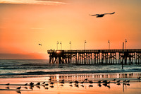 Sunrise at Daytona Beach Pier